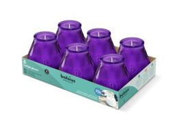 Bolsius – Outdoor Candles - 6 Pieces - in Glass - Purple - Burning Time 70 Hours - No Palm Oil - Clean Burning - Cotton Wick - Non Scented