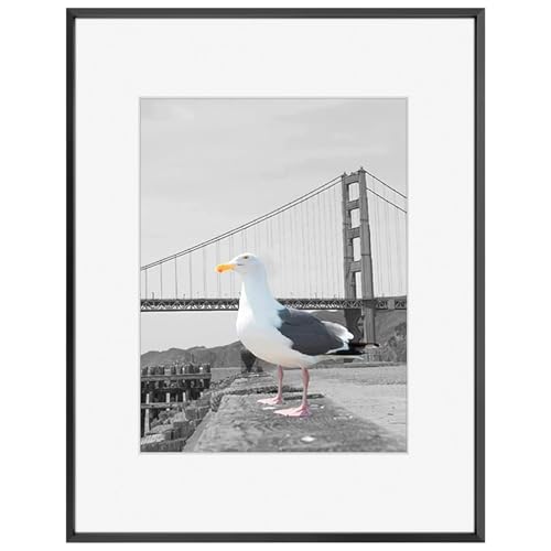 Frametory, 16x20 Metal Picture Frame Collection, Aluminum Photo Frame with Ivory Color Mat for 11x14 Picture & Real Glass (Black)