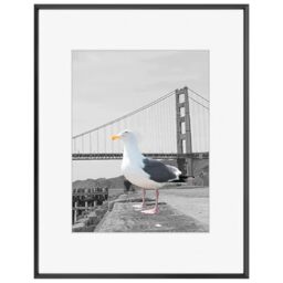 Frametory, 16x20 Metal Picture Frame Collection, Aluminum Photo Frame with Ivory Color Mat for 11x14 Picture & Real Glass (Black)