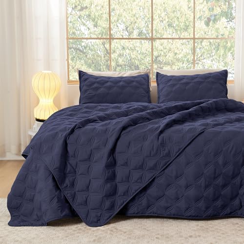 Litanika Queen Quilt Bedding Set, 3 Pieces Navy Bedspreads Set - Cloud-like Soft Fluffy Lightweight Breathable All Season Coverlet Comforter Cover Bed Set Room Decor Gift