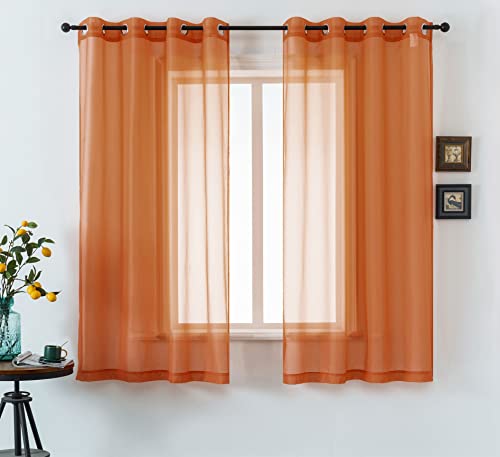 DUALIFE 2 Panels Sheer Curtains Grommet Top Semi Sheer Elegant Solid Color Touch Curtains for Living Room Bedroom 52x54 Inch 2 Panels