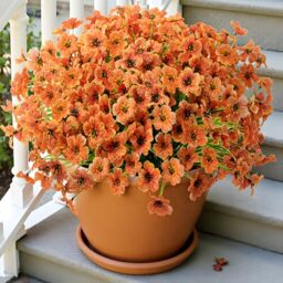 Uieke 16 Bundles Artificial Fall Flowers No Fade Faux Autumn Plants, Fake Indoor Outdoor Greenery for Thanksgiving Table Centerpiece Christmas Wedding Party Home Garden Fireplace D??cor (Orange)