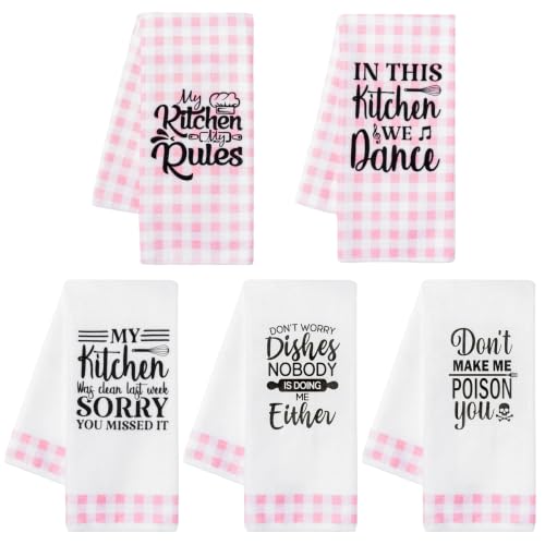 R HORSE Pink Kitchen Towels 5PCS Funny Dishcloth Decorative for Kitchen - Dish Hand Towels Set Soft Extra Absorbent and Bar Accessories Gift for Hostess Mom Women Housewarming, 40??60cm