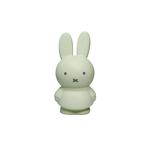 Miffy Warm Edition S Eucalyptus Money Box