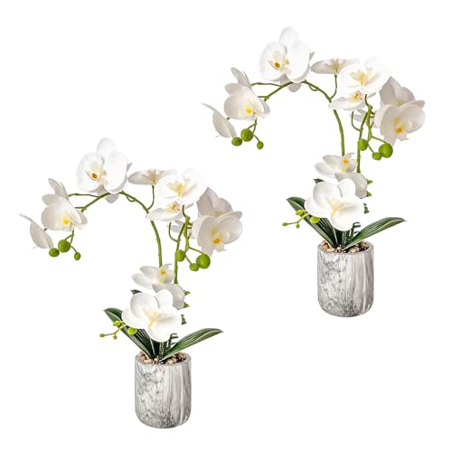Wenhuidr Fake Orchid Artificial Flowers in Vase Faux Flower Arrangements Centerpiece for Office Living Room Table Bathroom Wedding Home Decor (2, White)