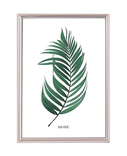 Inov8 Framing Tarnish Resistant Silver Plated Picture Frame - Thin Edge Design for 8x6 Inch (20x15cm) Photo