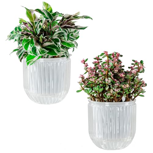 Melphoe Self Watering Pots for Indoor Plants Planter, 5.3 Inch 2 Pack Planters Self Watering Plant Pots for Flower, Houseplants, Succulent, African Violets and Cactus with Drainage