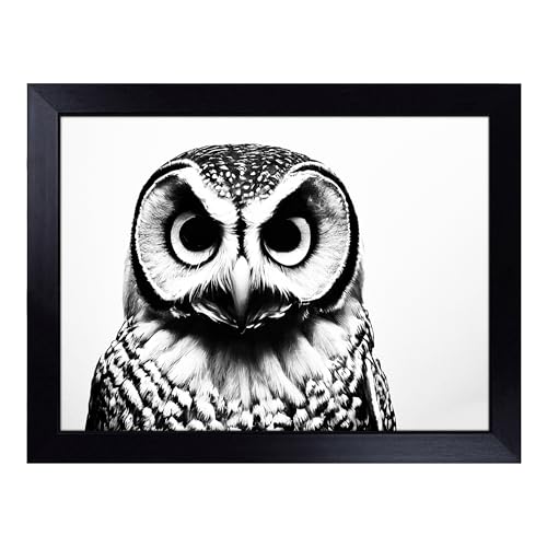 Lap Tray with Bean Bag Cushion, Barn Owl Monochrome - Handmade in the UK, Raised Wooden Edge, Padded Cushion, Heat-Resistant Wipe-Clean Surface, for Meals, Laptops and Crafts