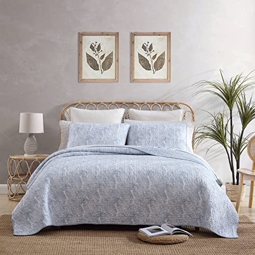 Tommy Bahama Cotton Bedding with Matching Sham, Coastal Home Decor with Textured Reverse, Blue/White, Queen