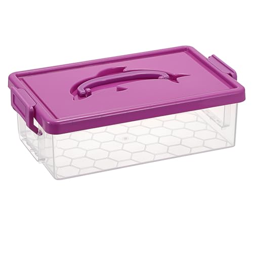BTSKY Clear Plastic Storage Box with Lid & Dolphin Handle