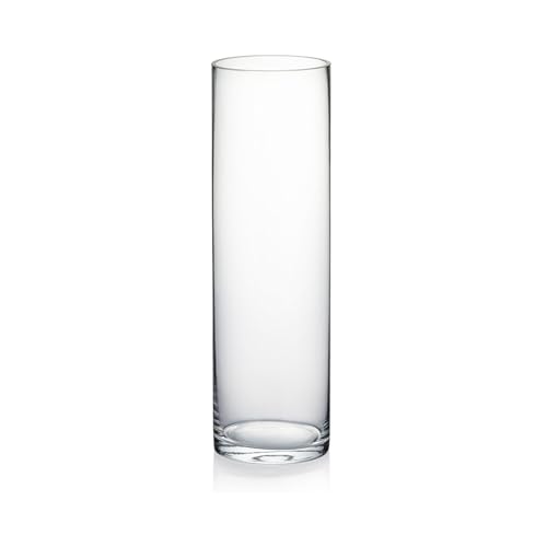 "WGV Cylinder Vase, 3"" W x 10""H, Clear Skinny Narrow Glass Bud Vase for Wedding Party Flowers Centerpieces Home Office Decor, 1 Piece"