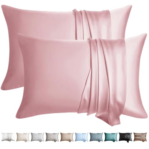 WLOSJ 100% Silk Pillow Cases 2 Pack King Size Mulberry Silk Pillowcase for Hair and Skin Set of 2 Highest Grade 6A Silk Soft Breathable Cooling with Hidden Zipper, Pink