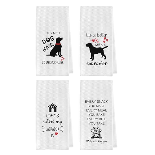 Gqtt Labrador Retriever Dish Towels - Labrador Gifts: Kitchen, Hand, Tea Towels (1624 Inches, Set of 4)