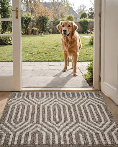 DEXI Indoor Doormat, Non Slip Absorbent Resist Dirt Entrance Rug, 24”x36” Machine Washable Low-Profile Inside Floor Door Mat