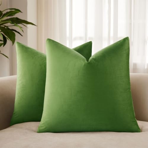 JUSPURBET Apple Green Velvet Cushion Covers 71 cm x 71 cm Set of 2 for Living Room Couch Sofa Bedroom Decorative Square Solid Soft Cushion Covers with Invisible Zip