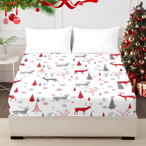 "HCORA Christmas Queen Fitted Sheet Only - Premium 1800 Microfibre Reindeer Fitted Sheet Deep Pocket Up to 16"" - Ultra Soft Fitted Bottom Sheet Shrinkage and Fade Resistant (Queen)"