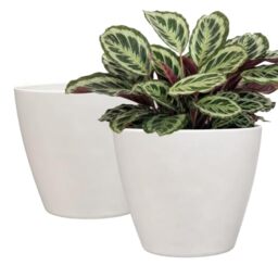 "Classic Home and Garden 807-405S Vogue Planter, 8"", Stark White"