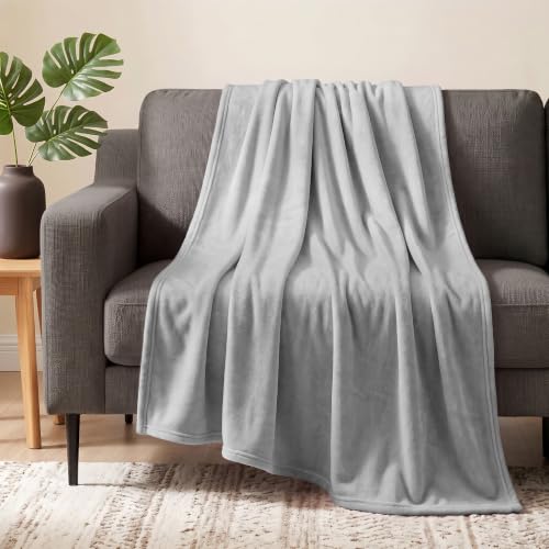 PAVILIA Light Grey Fleece Throw Blanket for Couch Twin Size, Silver Super Soft Fuzzy Flannel Throw for Sofa, Luxury Plush Microfiber Blanket Twin Bed, Home Decorative Velvet Gift Blanket, 60x80
