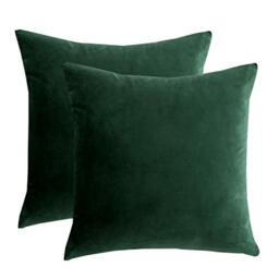 RainRoad Velvet Decorative Throw Pillow Covers Cushion Cover Pillow Case for Sofa Couch Bed Chair, Soft Square Dark Green Throw Pillows 18 x 18 Inches, Set of 2