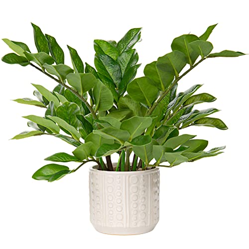 "Fake Plant Decor Artificial Potted Plants 17"" Faux Plants in Pots Modern Decorative Plant for Bathroom Office Desk Bedroom Aesthetic Shelf (Style #01)"
