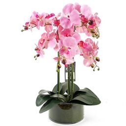 Leaf Design UK Realistic Artificial Orchid Flower Display in Pot, 50cm Pink/Glass Planter, 50cm Pink/Glass Planter