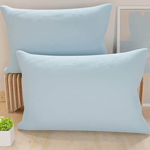 PETTI Artigiani Italiani - Pair of Microfiber Pillowcases 80x40 cm, Bedroom Cushions, Sofa, Set of 2 Cushion Covers, Light Blue Solid Color Pillowcase, 100% Made in Italy
