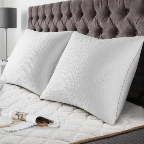 BedStory Pillow 65 x 65 (2 Pieces) - Luxury Hotel Quality Pillow - with Removable Bamboo Fibre Cover - Anti-Dust Mite - Hypoallergenic