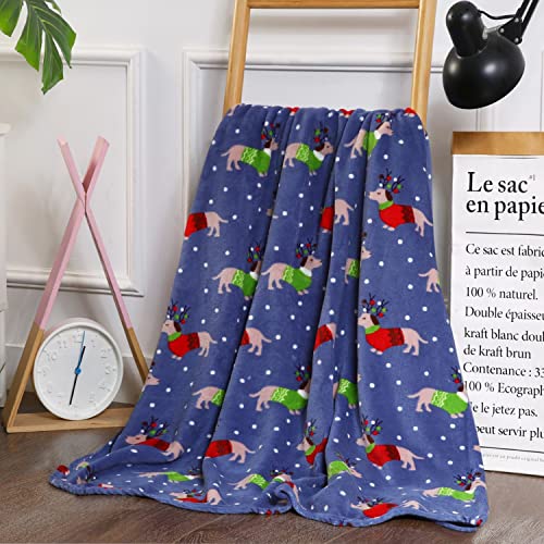 Elegant Comfort Luxury Velvet Super Soft Christmas Prints Fleece Blanket-Holiday Theme Home D??cor Fuzzy Warm and Cozy Throws for Winter Bedding, Couch and Gift, 50 x 60 inch, Dogs in Sweater
