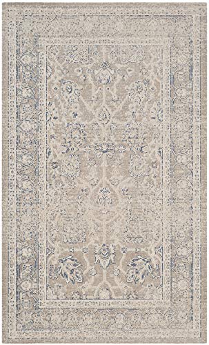 Safavieh Traditional Indoor Woven Rectangle Area Rug, Patina Collection, PTN326, in Taupe / Taupe, 91 X 152 cm for Living Room, Bedroom or Any Indoor Space