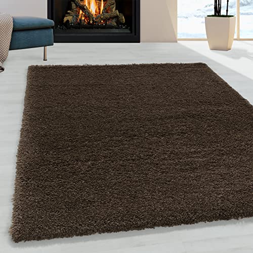 Giantore High Pile Rug Long Pile Plain Cuddly Living Room (Brown, 80 x 150 cm)