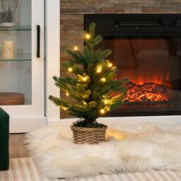 GiantexUK 2FT/60CM Mini Christmas Tree, Tabletop Artificial Xmas Tree with LED Lights & Base, Portable Traditional Holiday Christmas Decoration and Gift (Green With 20 Lights)