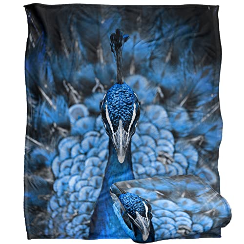 Bcreative - Reinders Reinders Peacock Silky Touch Super Soft Throw Blanket 152 X 127 Cm