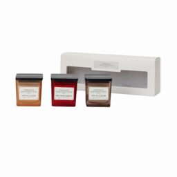 French Connection Scented Candle Giftset -3 x 55g Colour Candle Giftset for Women, Apricot & Peach, Praline & Cream, Cherry & Merlot Scents - Aromatherapy for Bathroom, Kitchen & Living Room