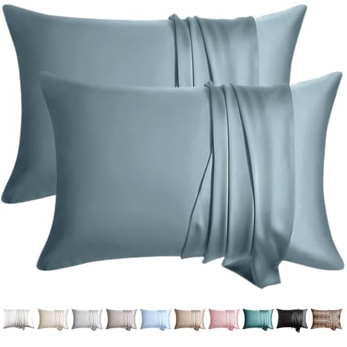 WLOSJ 100% Silk Pillow Cases 2 Pack King Size Mulberry Silk Pillowcase for Hair and Skin Set of 2 Highest Grade 6A Silk Soft Breathable Cooling with Hidden Zipper, Grey Blue