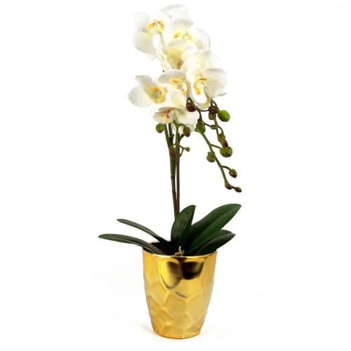 Leaf Design UK Realistic Artificial Orchid Flower Display in Pot,White Gold,54cm