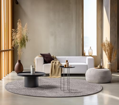 freundin Home Collection Round Shaggy Rug - Fluffy High Pile Living Room Rug - Plain Soft Easy Care Long Pile for Living Room, Dining Room, Bedroom, Children's Room - Beige Brown, 140 cm
