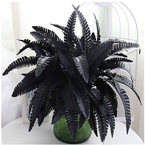 Artificial Black Persian Fern Leaf Plant Fake and Realistic Plastic Wedding Shop Background Decoration 4 Packs