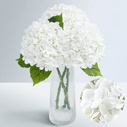 "Waipfaru 21"" Real Touch White Hydrangea Artificial Flowers with Long Stem & Leaves, Full Latex Faux Hydrangea Flowers for Home Decor Party Floral Arrangements Wedding Bouquets Centerpieces, 3Pcs"