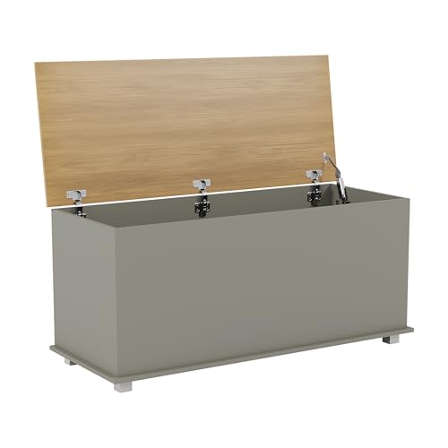Vida Designs Arlington Storage Ottoman Bench, 100 x 40 x 48 cm - Blanket Box with Lift-Up Lid & Safety Hinges, foor Hallway, Bedroom, Living room, Grey