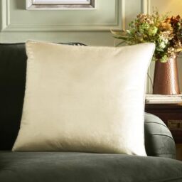 Appletree Heritage Harlan Velvet Cushion 55 x 55cm Cream – Soft Velvet Decorative Cushion with Piped Edge, Includes Cushion Pad