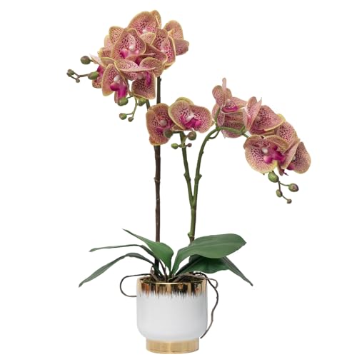 "CXGS Orchids Artificial Flowers Real Touch Fake Flowers in Ceramic Pot 20"" Purple Dapple Faux Orchid Plant Lifelike Silk Phalaenopsis for Centerpiece Hotel Home Indoor Decor"