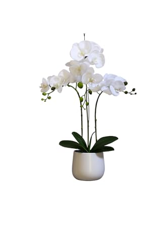 Elegant Large Triple Stem White Real Touch Artificial Potted Orchid (65cm) In Round White Ceramic Pot