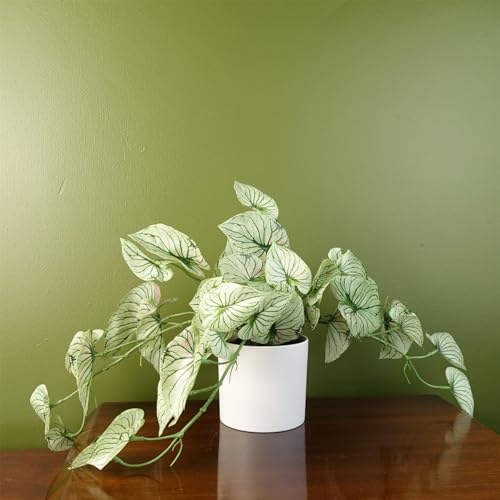 Botanik 30cm Artificial Trailing Plant Realistic Variegated Potted Alocasia