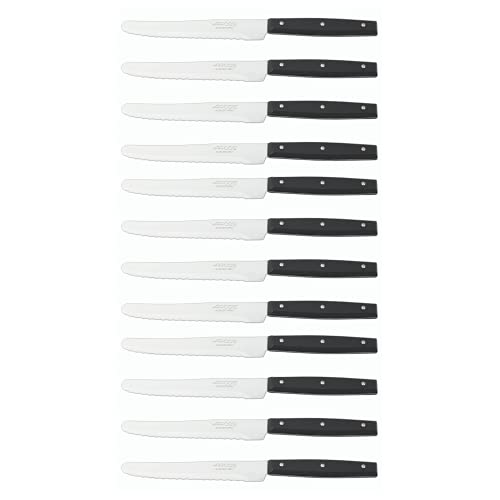 Arcos Table Steak Knife Stainless Steel Nitrum 130 mm Box 12 Pieces - 12 pieces. Nylon handle. Series Table Knives. Colour black.