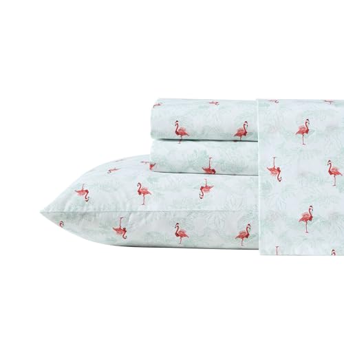 Tommy Bahama - Queen Sheet Set, Cotton Percale Bedding Set, Super Soft and Cozy Home Decor, Oeko-Tex Certified (Flamingo Santa Red, Queen)