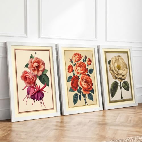 Botanical Rose Collection Botanical Set of 3 Framed Wall Art Prints A4