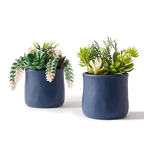 ASTRIDIA Artificial Succulent in Ceramic Pots, 2 Packs Large Faux Fake Plants Navy Blue for Desk,Office, Bedroom, Living Room, Bathroom Office Shelf Home D??cor