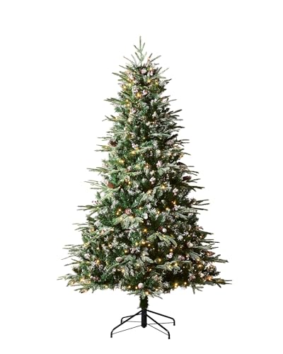 WeRChristmas Pre-Lit Frosted Norwegian Spruce Christmas Tree, 500 Warm White LED Lights, Green, 7 ft / 2.1 m,WRC-10028