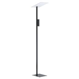 Eglo Floor lamp Budensea, 2 Flame Floor Light Fixture