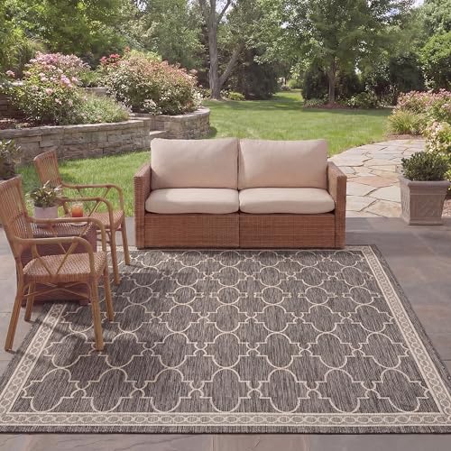 Safavieh Contemporary Indoor/Outdoor Woven Rectangle Area Rug, Courtyard Collection, CY8871, in Black / Beige, 244 X 335 cm for Garden, Patio or Any Outdoor Space